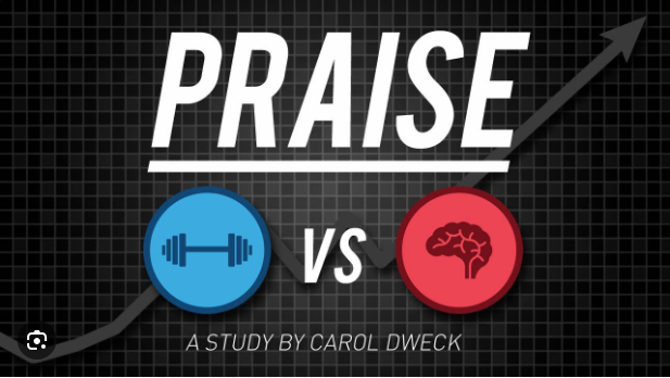 Praise vs Mindset